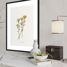 Load image into Gallery viewer, Helichrysum Watercolour Print
