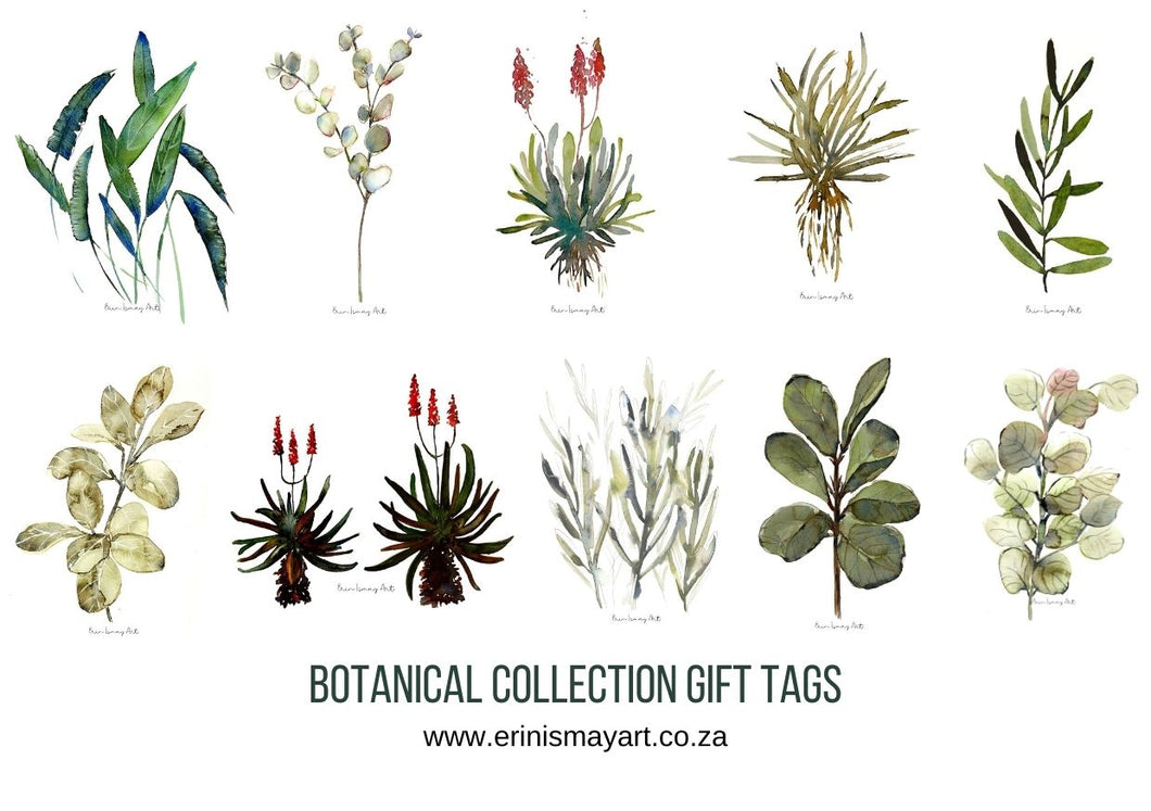 Botanical Watercolour Collection Gift Tags - 10 Pack
