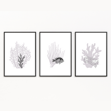Load image into Gallery viewer, Grey Coral - 3 Piece Poster Print
