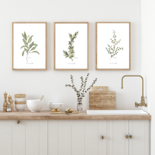 Load image into Gallery viewer, Herb Collection Watercolour Prints - 3 Piece Set
