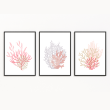 Load image into Gallery viewer, Pink Coral - 3 Piece Poster Print
