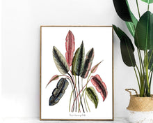 Load image into Gallery viewer, Pink and Green Tropical Leaves Print
