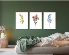 Load image into Gallery viewer, Wildflowers Watercolour Print 3-Piece Set
