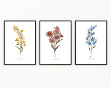 Load image into Gallery viewer, Wildflowers Watercolour Print 3-Piece Set
