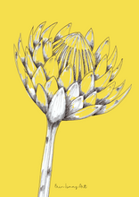 Load image into Gallery viewer, Single Yellow Protea Drawing Print
