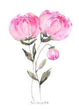 Load image into Gallery viewer, Pink Peony Floral Watercolour Print
