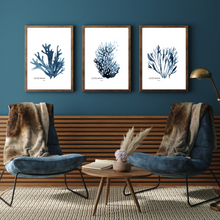 Load image into Gallery viewer, Oceana - 3 Piece Poster Print
